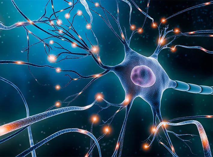 Illustration of interconnected neurons with branching dendrites and glowing synapses, representing neural communication and brain activity.